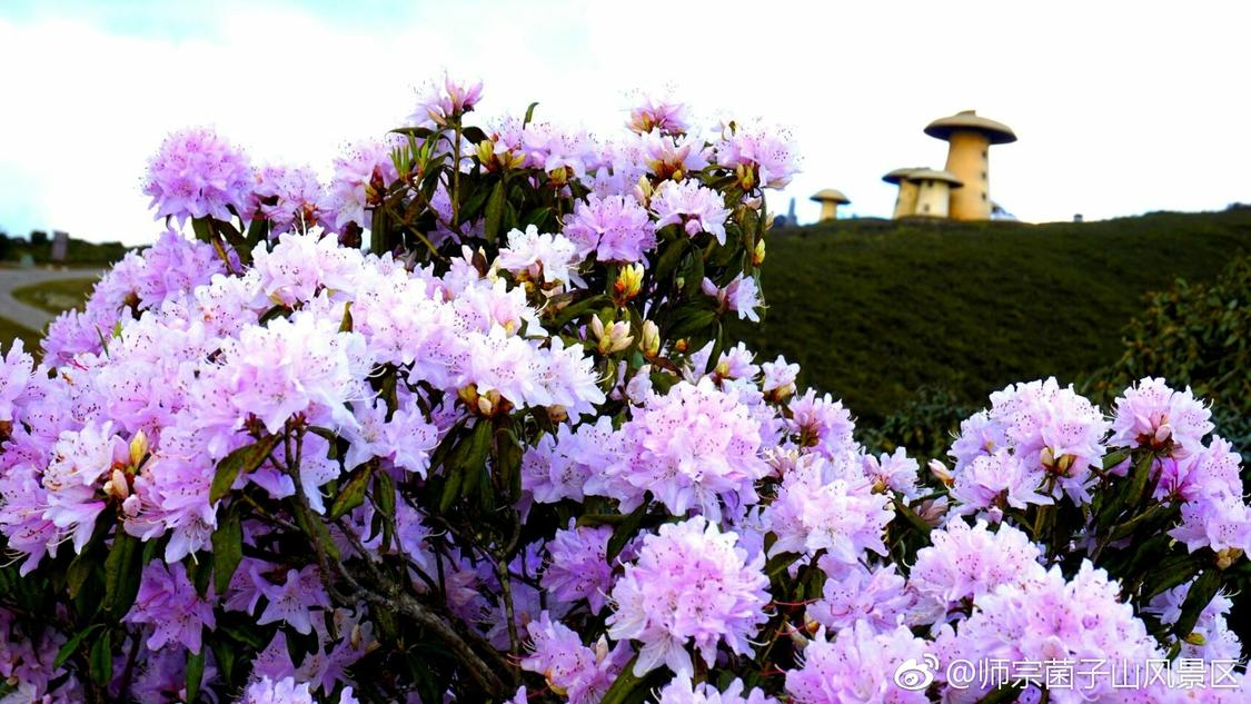 不久前定向推广灵活化配置您的考勤系统:安全、稳定与用户体验的平衡,陈奕恒大屏怼脸生图