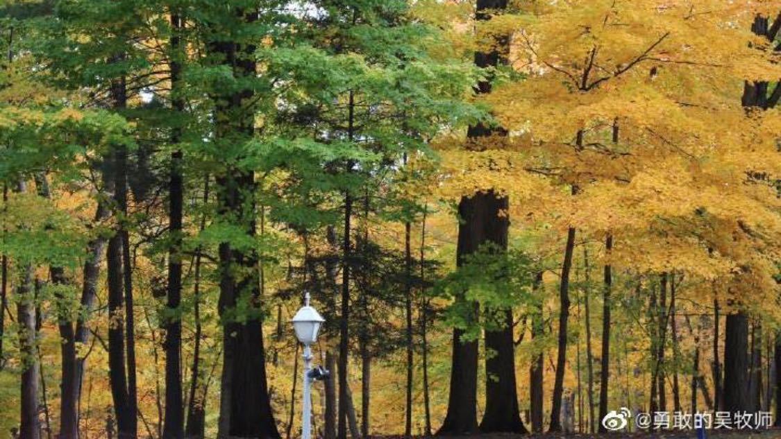 急招抖音点赞员